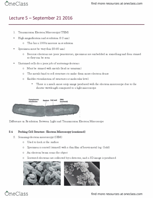 MBIO 1010 Lecture Notes - Lecture 5: Lipid Bilayer, Mycoplasma Genitalium, Gram-Negative Bacteria thumbnail