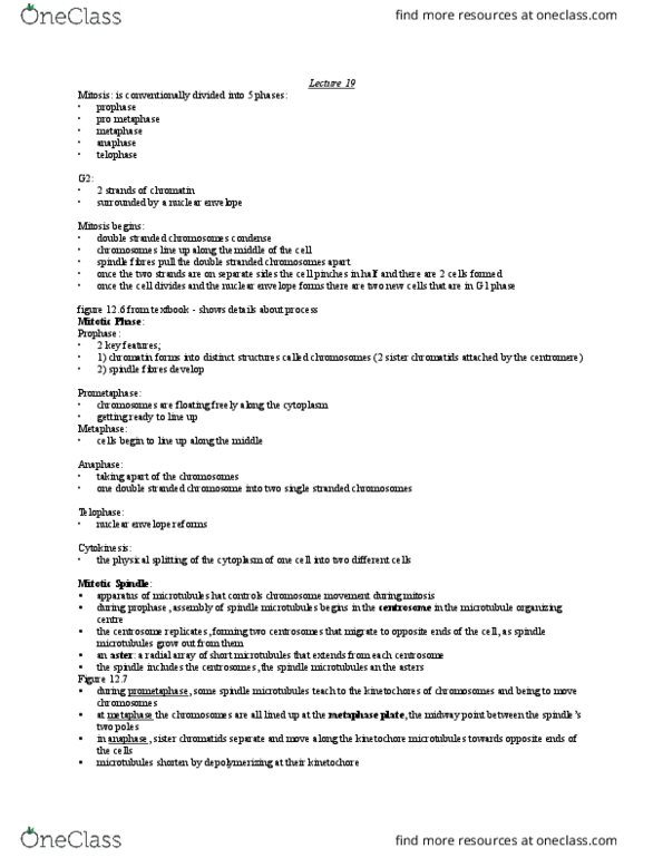 BIOL 1020 Lecture Notes - Lecture 19: Archaea, Plat, Cleavage Furrow thumbnail