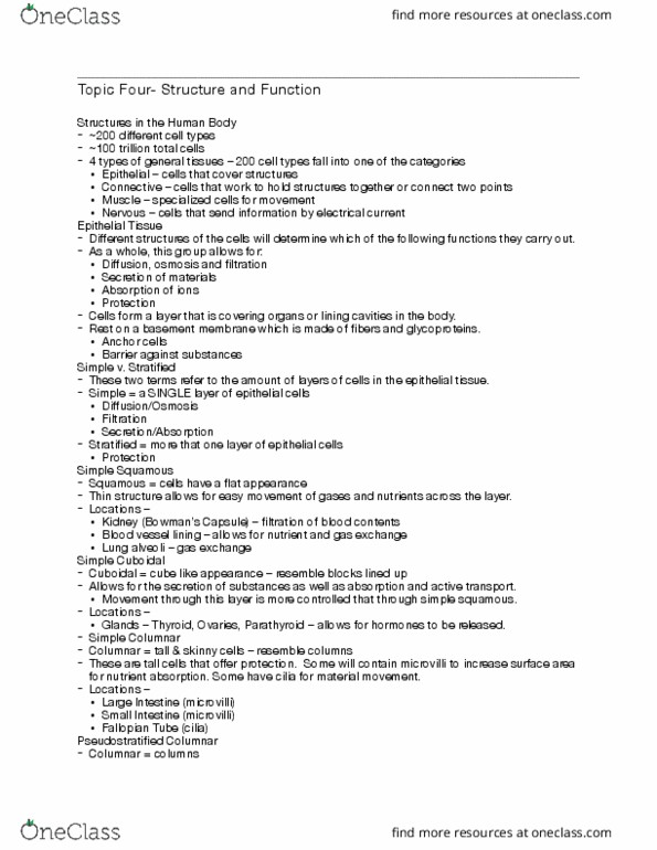 KINE 200 Lecture Notes - Lecture 4: Simple Squamous Epithelium, Egg Cell, Sclera thumbnail