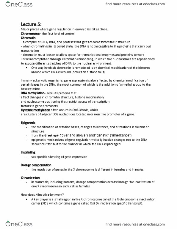 BIOA01H3 Chapter Notes - Chapter 5-8: Non-Coding Rna, Dosage Compensation, Xist (Gene) thumbnail