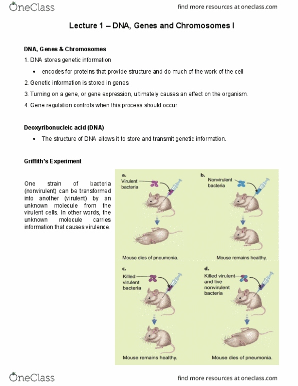 BIOA01H3 Lecture Notes - Lecture 1: Phosphodiester Bond, Chromatin, Covalent Bond thumbnail