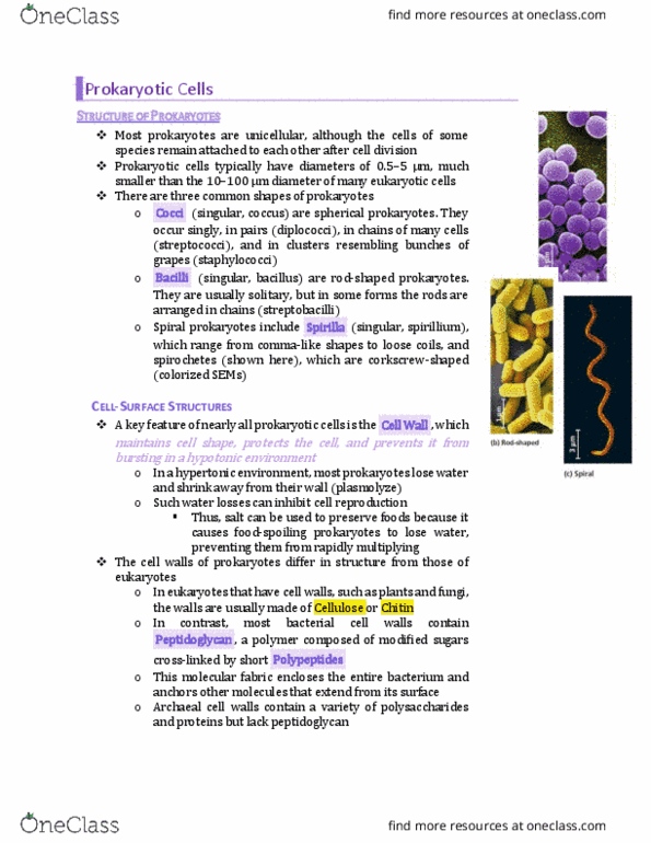 BIO130H1 Chapter Notes - Chapter 1: Plasmolysis, Diplococcus, Staphylococcus thumbnail