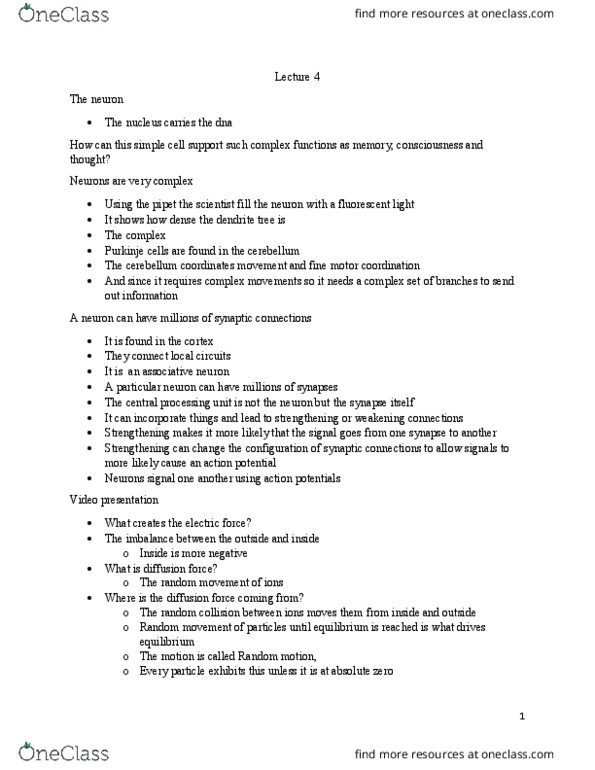 PSY397H5 Lecture Notes - Lecture 4: Central Processing Unit, Purkinje Cell, Motor Coordination thumbnail