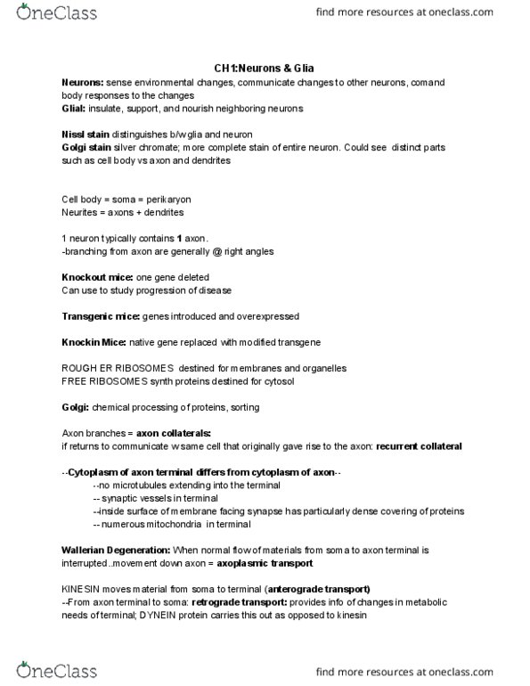 CAS BI 325 Chapter Notes - Chapter 2: Franz Nissl, Knockout Mouse, Golgi'S Method thumbnail