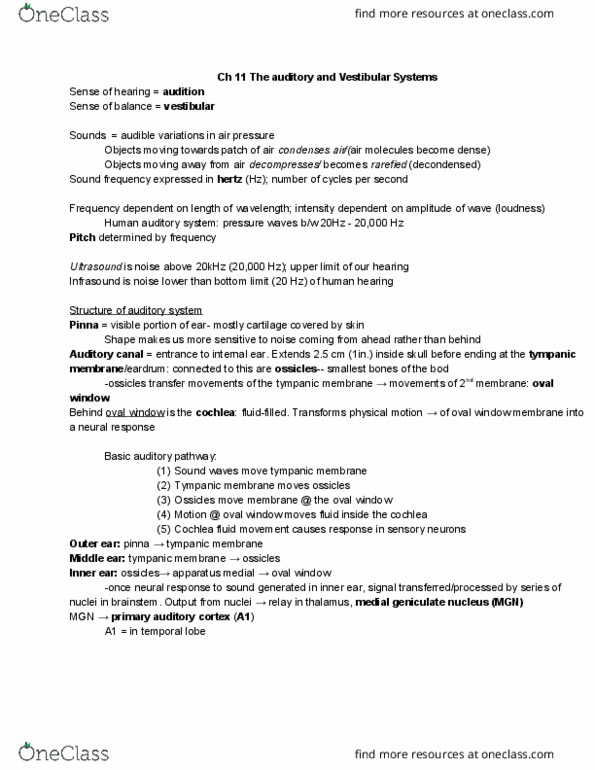 CAS BI 325 Chapter Notes - Chapter 11: Medial Geniculate Nucleus, Oval Window, Outer Ear thumbnail