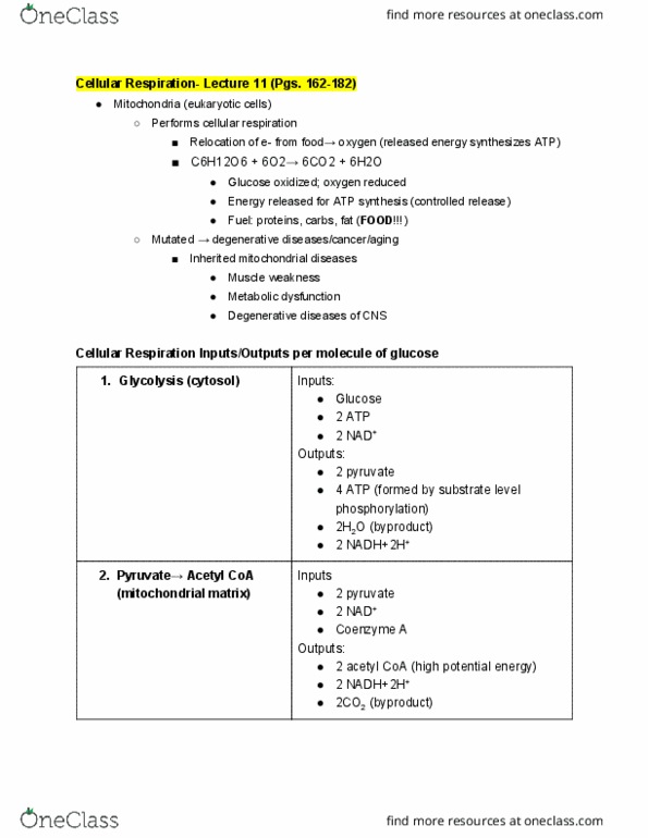 BIO SCI 93 Lecture Notes - Lecture 11: Acetyl-Coa, Mitochondrial Matrix, Oxidative Phosphorylation thumbnail