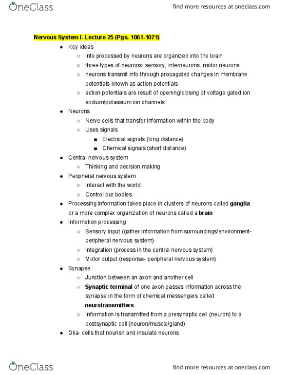 BIO SCI 93 Lecture Notes - Lecture 25: Peripheral Nervous System, Chemical Potential, Membrane Potential thumbnail