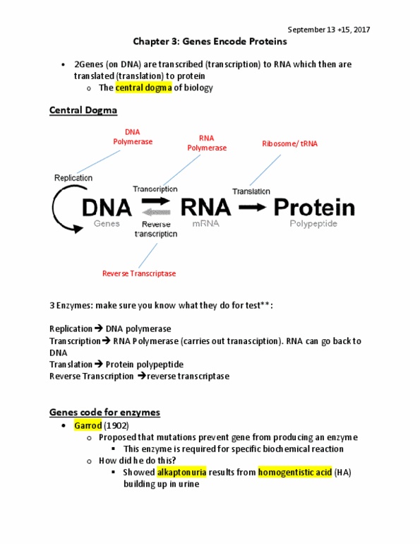BI226 Lecture 2: Chapter 3- Genes encode proteins BI-226 thumbnail