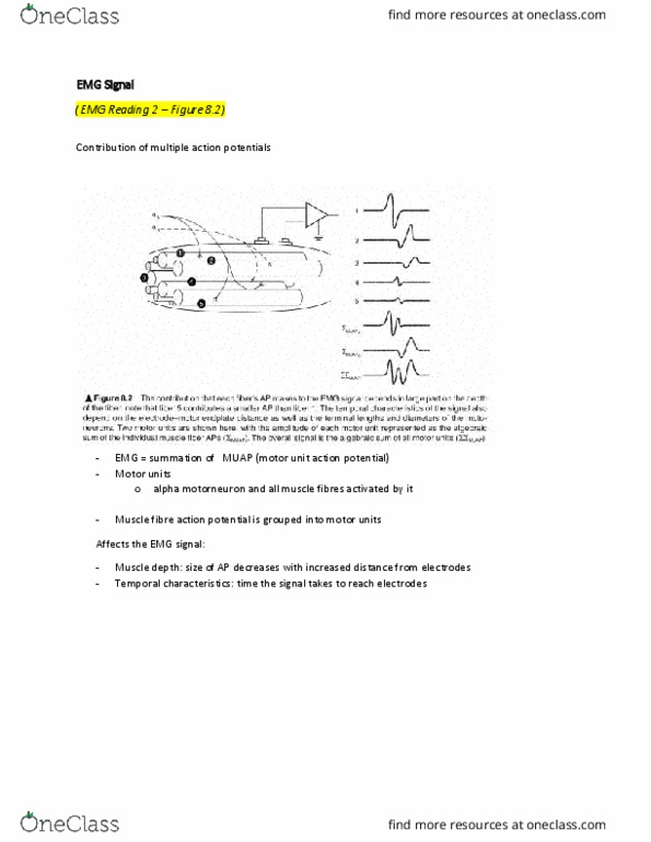 KP351 Lecture Notes - Lecture 3: Differential Amplifier, Myocyte, Oscilloscope thumbnail