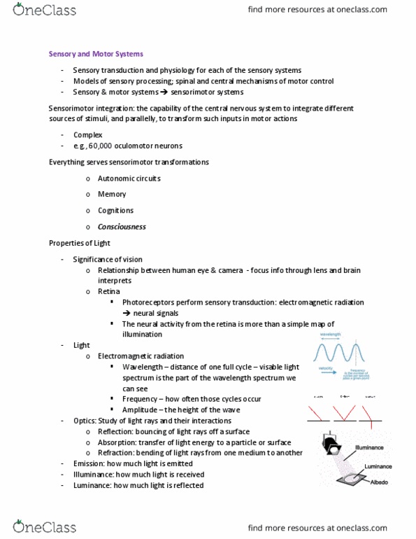 NROC64H3 Lecture Notes - Lecture 1: Electromagnetic Radiation, Ciliary Body, Refraction thumbnail