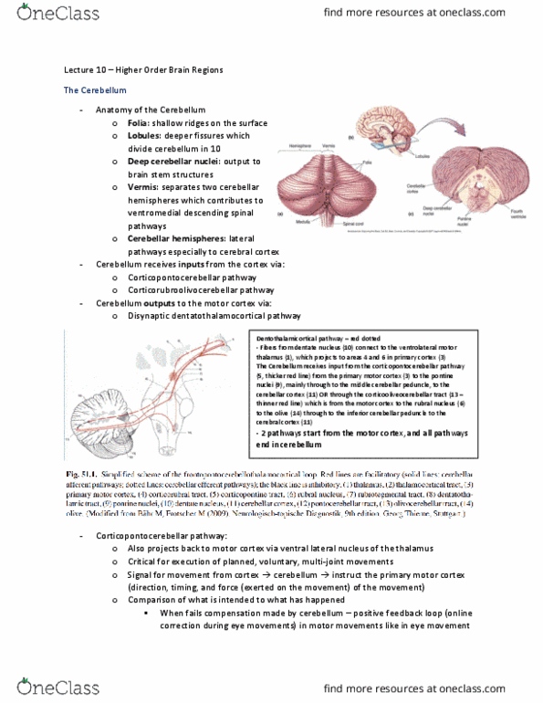 document preview image