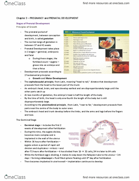 PSYB20H3 Chapter Notes - Chapter 3: Umbilical Cord, Embryonic Disc, Amniotic Sac thumbnail