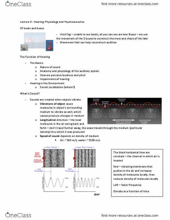 PSYB51H3 Lecture Notes - Lecture 9: Sine Wave, Longitudinal Wave, Sound Energy thumbnail