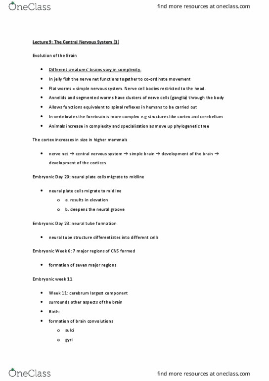 BIOC32H3 Lecture Notes - Lecture 9: Neural Groove, Central Nervous System, Jellyfish thumbnail