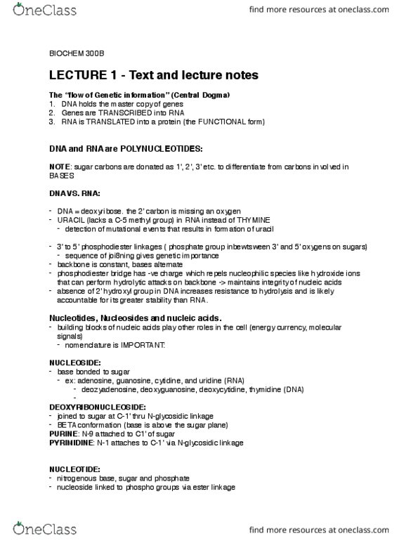BIOC 300B Lecture Notes - Lecture 1: Deoxyguanosine, Deoxycytidine, Cytidine thumbnail