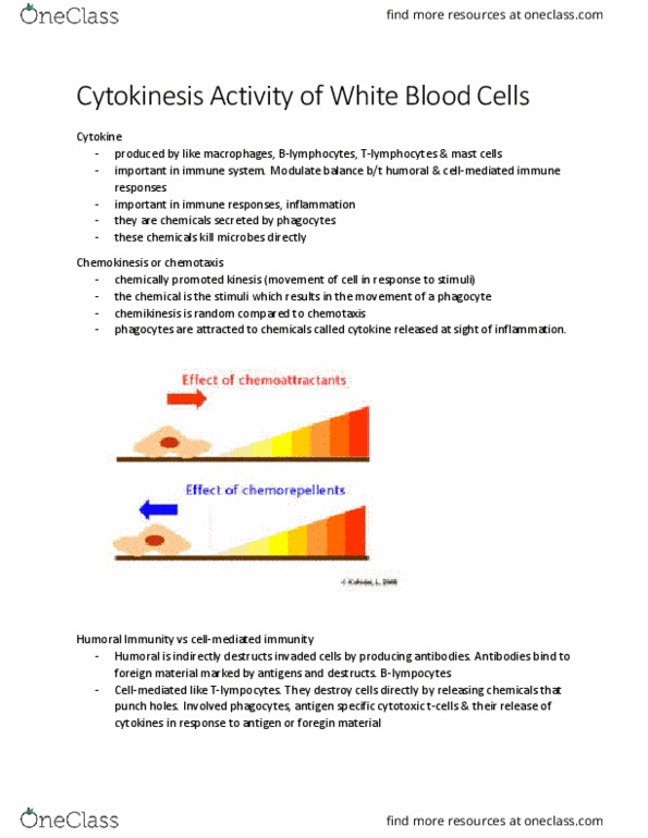 KINE 2011 Chapter Notes - Chapter 5.3: Mast Cell, Phagocyte, Cytokine thumbnail