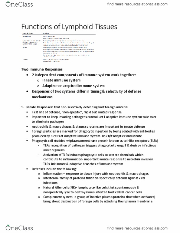 KINE 2011 Chapter Notes - Chapter 5.0: Natural Killer Cell, Adaptive Immune System, Innate Immune System thumbnail