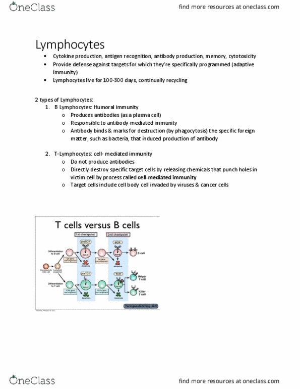 KINE 2011 Chapter Notes - Chapter 8.3: Cell-Mediated Immunity, Bone Marrow, Natural Killer Cell thumbnail