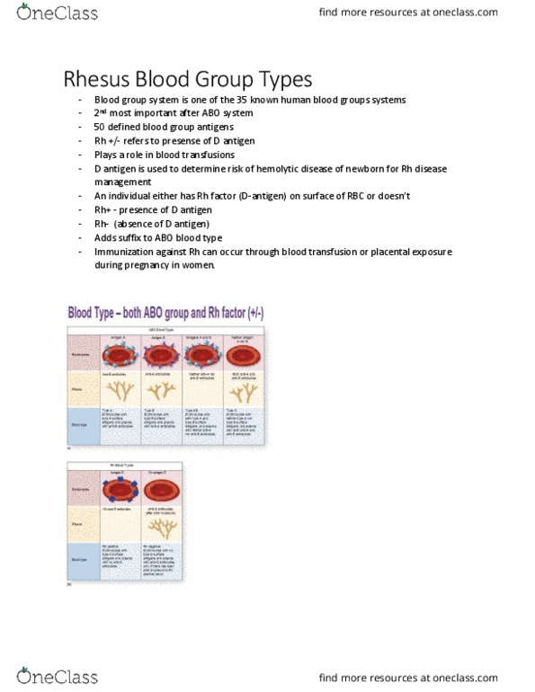 KINE 2011 Chapter Notes - Chapter 9.7: Rh Disease, Blood Transfusion, Abo Blood Group System thumbnail