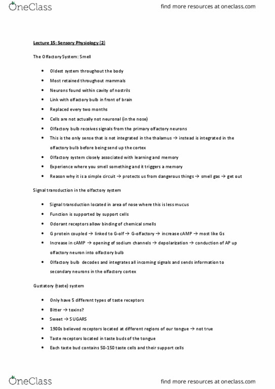 BIOC32H3 Lecture Notes - Lecture 15: Olfactory Bulb, Taste Bud, Signal Transduction thumbnail