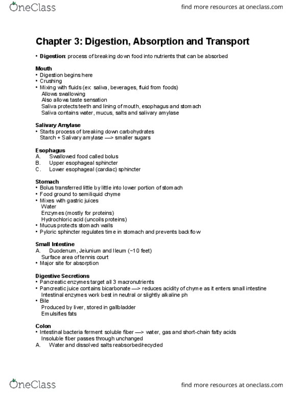 NTDT200 Lecture Notes - Lecture 3: Pylorus, Pancreatic Juice, Chyme thumbnail