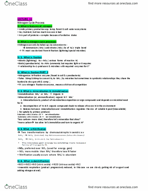 BIOL350 Lecture Notes - Lecture 11: Nitrogen Fixation, Anaerobic Respiration, Nitrification thumbnail