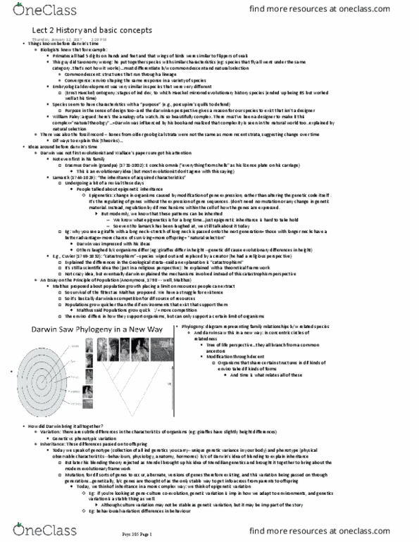 PSYC 385 Lecture Notes - Lecture 2: Erasmus Darwin, Ernst Haeckel, Evolutionary Psychology thumbnail