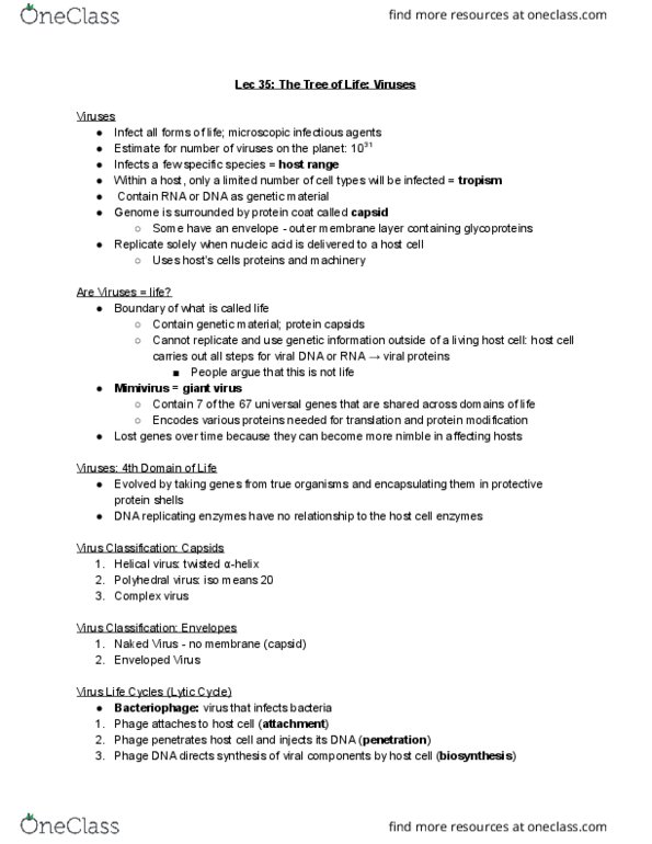 BIOA01H3 Lecture Notes - Lecture 35: Girus, Mimivirus, Bacteriophage thumbnail