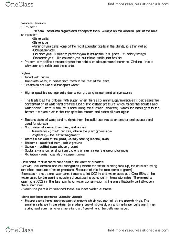 PLSC 220 Lecture Notes - Lecture 1: Phyllotaxis, Phloem, Guttation thumbnail