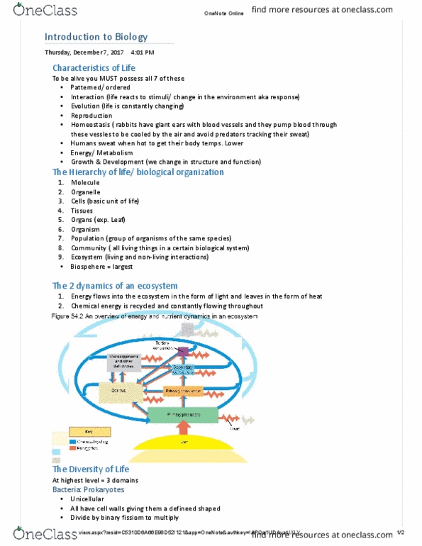 BIOL 113 Lecture Notes - Lecture 1: Microsoft Onenote, Eukaryote, Chemical Energy thumbnail