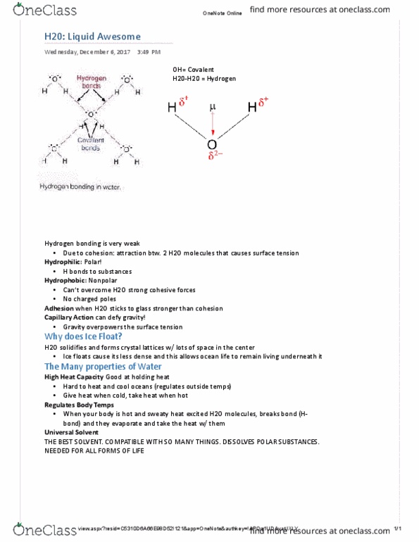 BIOL 113 Lecture Notes - Lecture 4: Hydrogen Bond, Surface Tension, Microsoft Onenote thumbnail