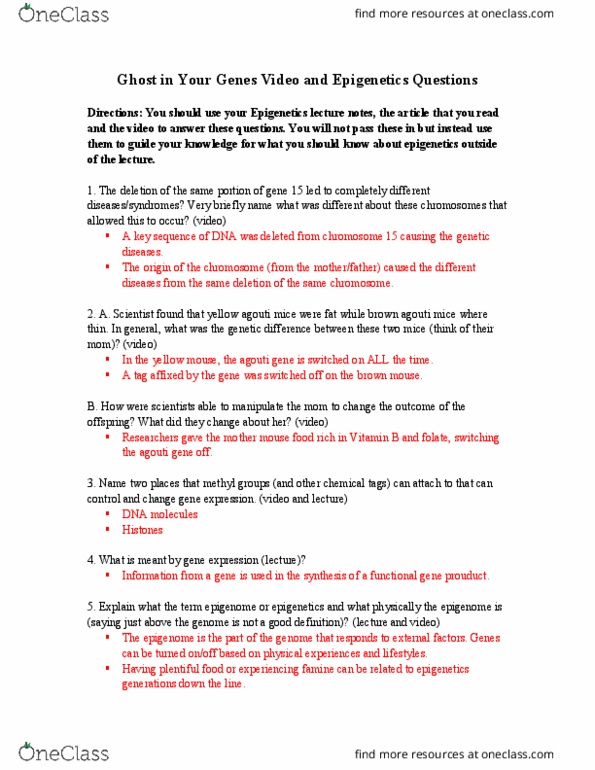 ghost-in-your-genes-worksheet-answer-key-studying-worksheets