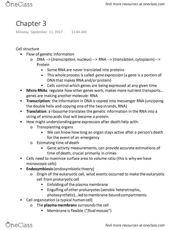 BIOS 1030 Lecture Notes - Lecture 3: Messenger Rna, Cell Membrane, Symbiogenesis thumbnail