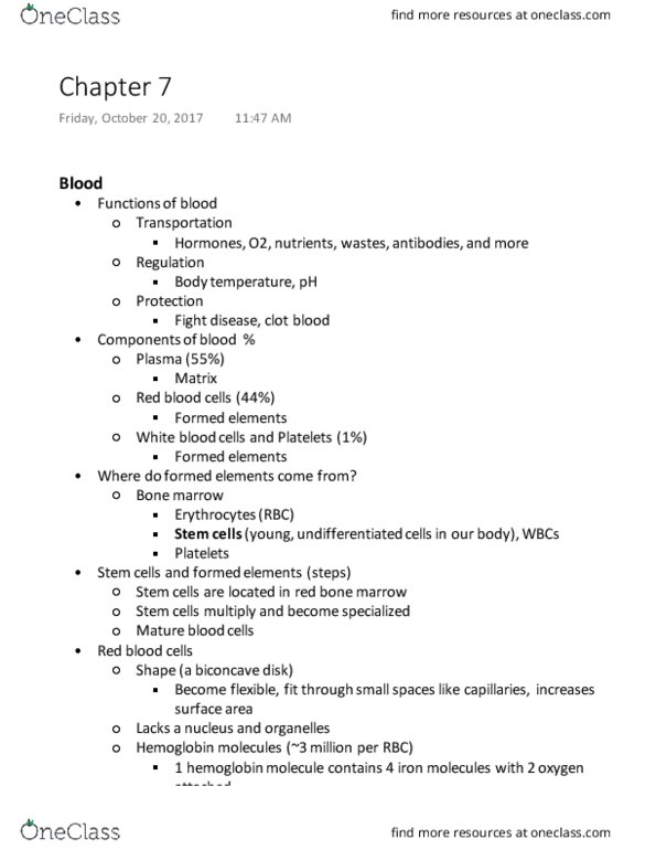 BIOS 1030 Lecture Notes - Lecture 7: Bone Marrow, Hematocrit, Hemoglobin thumbnail