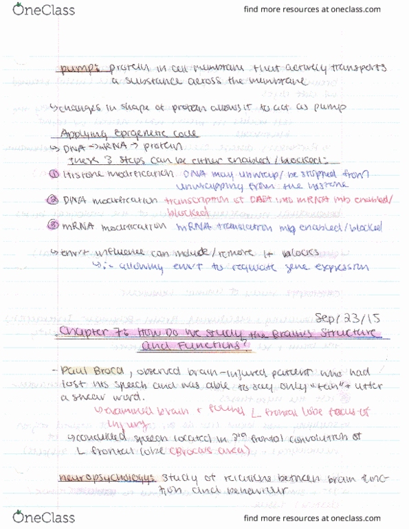 PSYB65H3 Chapter Notes - Chapter 7: Unmanned Underwater Vehicle, Fax, Suloise thumbnail