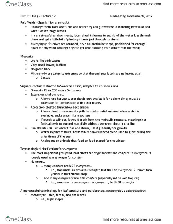 BIO120H1 Lecture Notes - Lecture 17: Sonoran Desert, Mesophyte, Acer Saccharum thumbnail