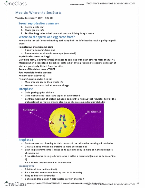 BIOL 113 Lecture Notes - Lecture 17: Homologous Chromosome, Spooling, Dna Replication thumbnail