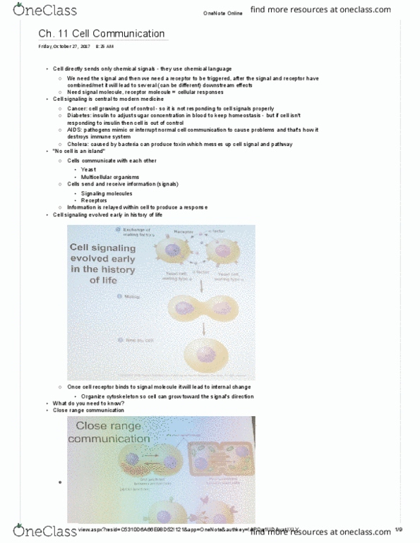 BIOL 113 Lecture Notes - Lecture 29: Tyrosine Kinase, Signal Transduction, Paracrine Signalling thumbnail