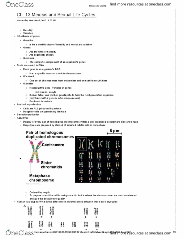 BIOL 113 Lecture Notes - Lecture 31: Sister Chromatids, Allosome, Karyotype thumbnail