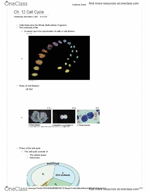 BIOL 113 Lecture Notes - Lecture 30: G1 Phase, Flow Cytometry, G2 Phase thumbnail