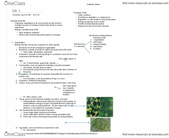 BIOL 113 Chapter Notes - Chapter 1: Francis Crick, Chlorophyll, Chloroplast thumbnail