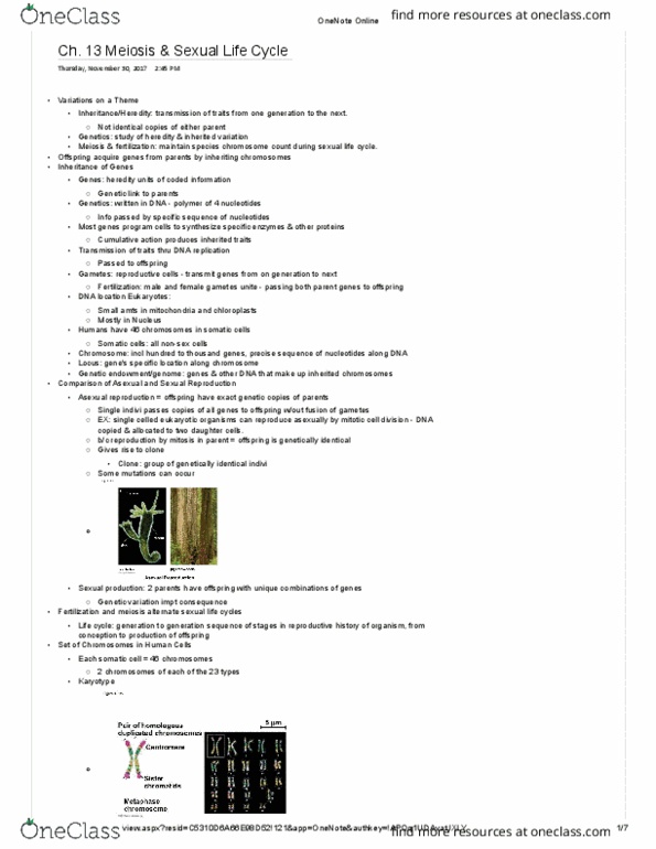 BIOL 113 Chapter Notes - Chapter 13: Homologous Chromosome, Asexual Reproduction, Y Chromosome thumbnail