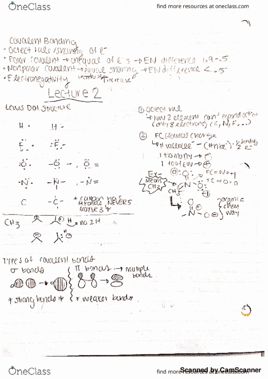 CAS CH 203 Lecture Notes - Lecture 2: New Zealand, National Order Of Quebec thumbnail