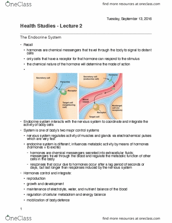 HLTB22H3 Lecture Notes - Lecture 2: Vasoconstriction, Hypothalamus, Pituitary Gland thumbnail