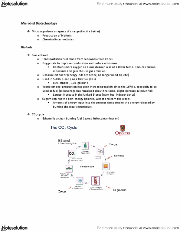 MICR 221 Lecture Notes - Cell Disruption, Riboflavin, Activated Carbon thumbnail