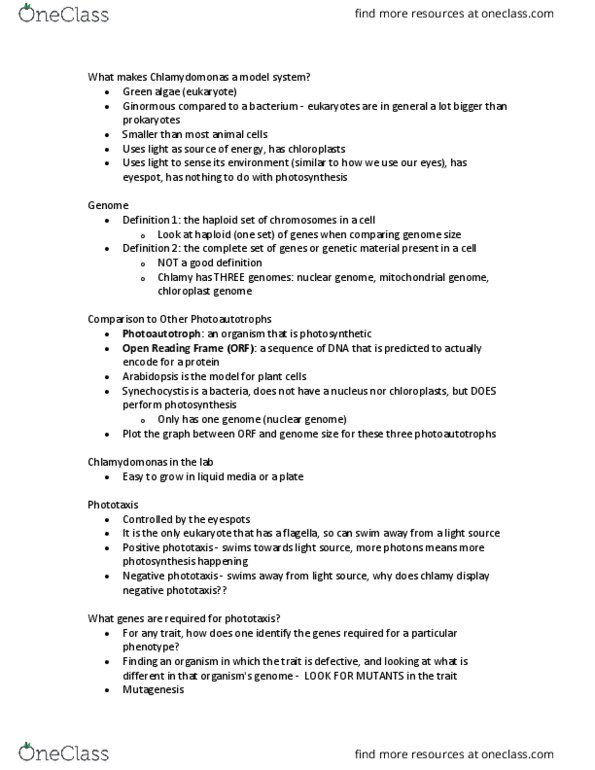 Biology 1002B Lecture Notes - Lecture 1: Open Reading Frame, Insertional Mutagenesis, Phototaxis thumbnail