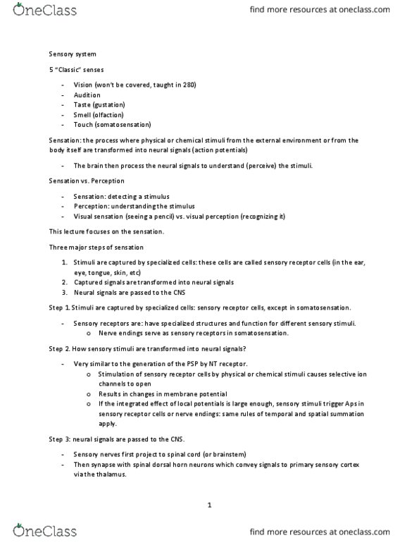 PSY290H1 Lecture Notes - Lecture 5: Superior Colliculus, Blood Vessel, Bulbous Corpuscle thumbnail