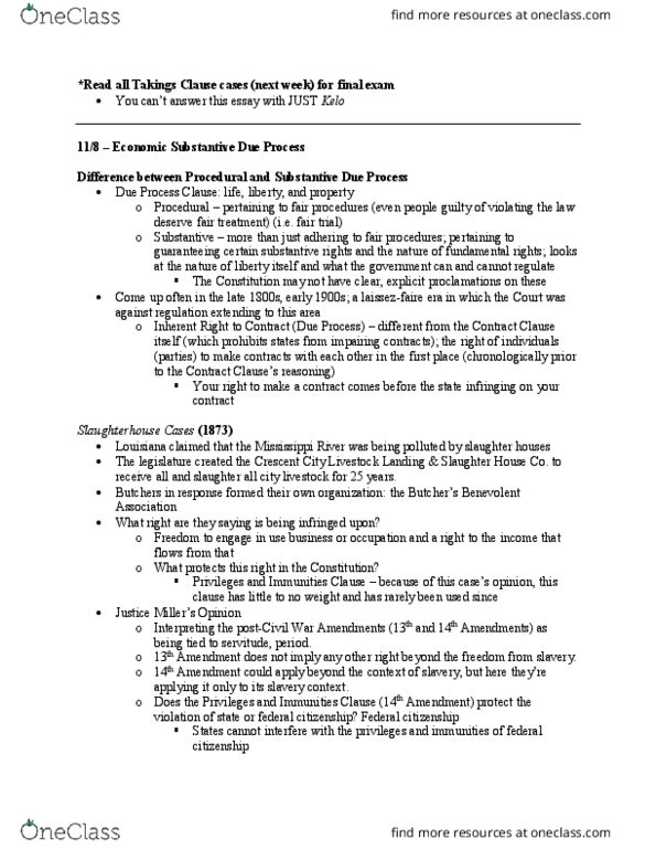 PSC 4361 Lecture Notes - Lecture 23: Lochner V. New York, Equal Protection Clause, Family Therapy thumbnail