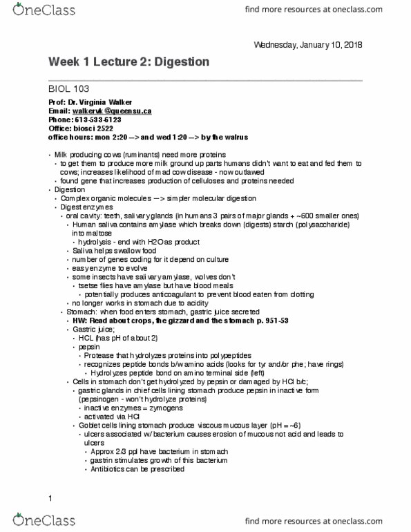 BIOL 103 Lecture Notes - Lecture 2: Signal Transduction, Maltose, Gastric Glands thumbnail