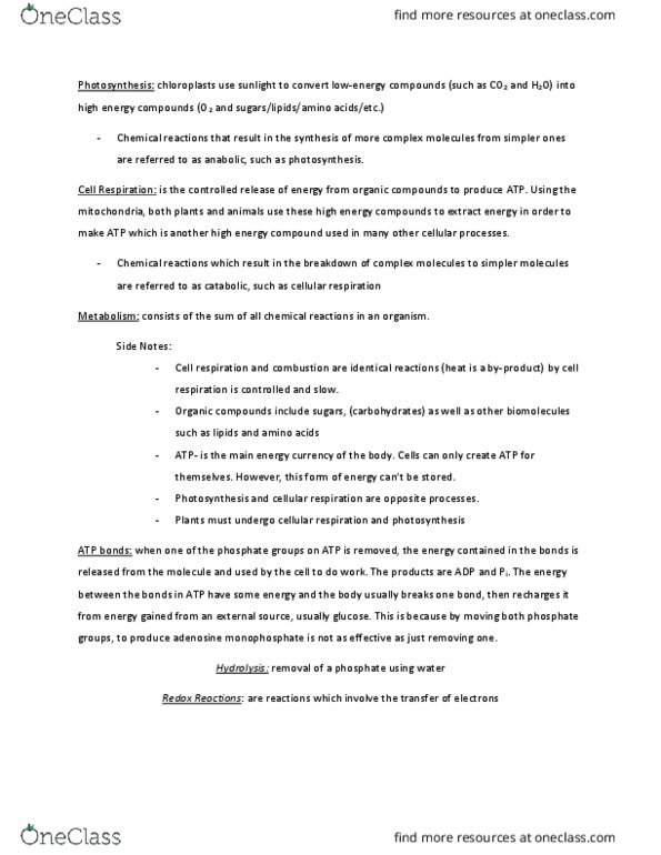 BIO130H1 Lecture Notes - Lecture 7: Vascular Bundle, Acetyl-Coa, Dicotyledon thumbnail